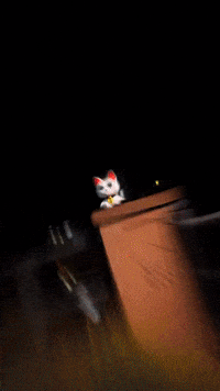 Cat Kitty GIF by Youtooz