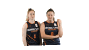 NLbasketball olaw Sticker