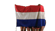 NLbasketball olaw Sticker