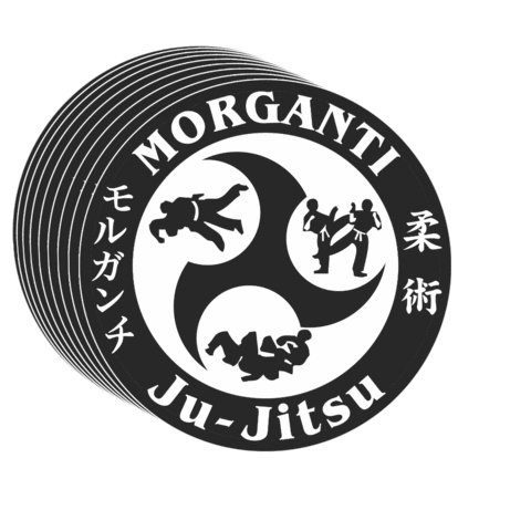 Martial Arts Fight Sticker by Morganti Ju-Jitsu