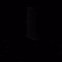 ultra lagree GIF