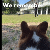 Dog We Remember GIF