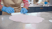 Living Birthday Cake GIF by MolaTV