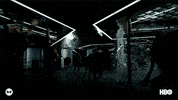 season 2 ad GIF by Westworld HBO