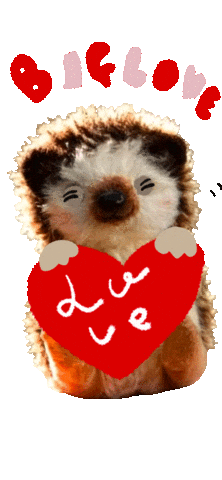 patissierharinezumi giphyupload love smile hedgehog Sticker