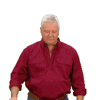 Renovate Channel 9 Sticker by The Block