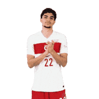Ay Yildiz Millitakim Sticker by Kaan Ayhan