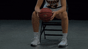 Basketball Bison GIF by NDSU Athletics