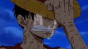 One Piece Crying GIF