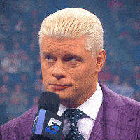 Cody Rhodes Agree GIF by WWE