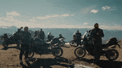 Ride GIF by Harley-Davidson