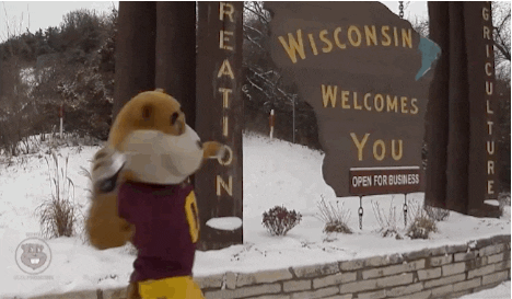 goldy gopher GIF by Goldy the Gopher - University of Minnesota