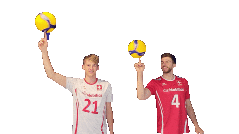 Volleyball Sticker by swissvolley