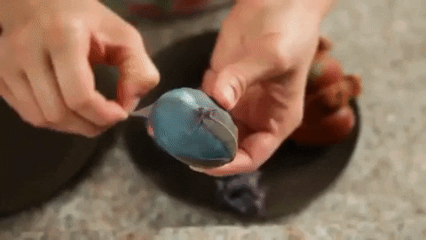 jamiekenney giphygifmaker GIF