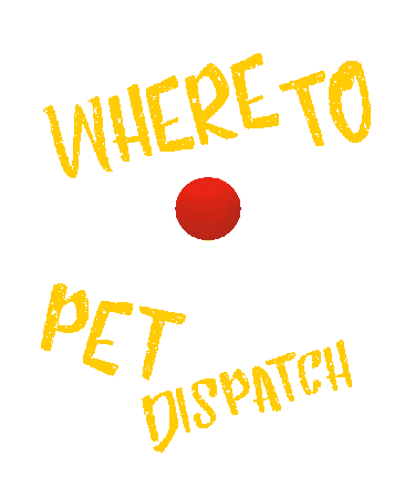 Dog Day Cat Sticker by WHERE TO PET ?