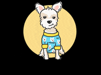 Morkie GIF