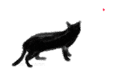 confused black cat STICKER