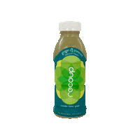 Health Ginger Sticker by Recoup Wellness