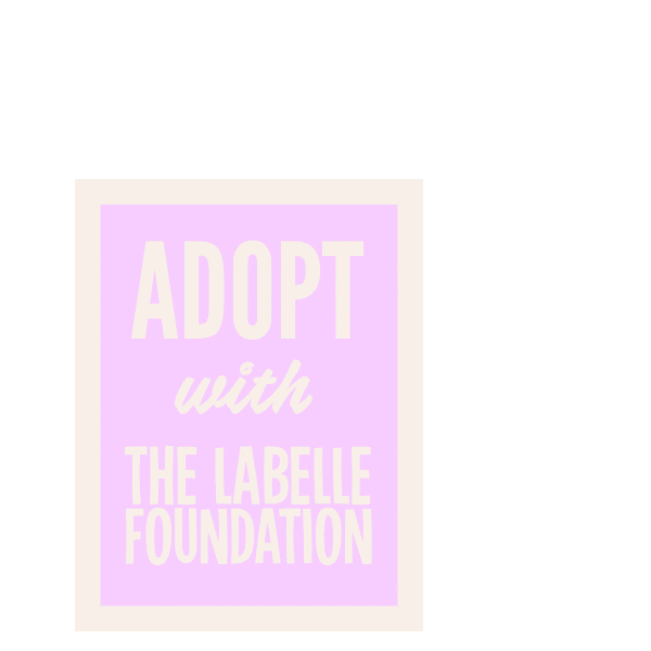 Pollencorp giphyupload adopt adoption foster Sticker