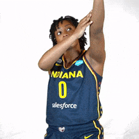 Basketball Wnba GIF by Indiana Fever