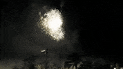 fireworks valencia GIF by For 91 Days