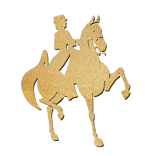 NHProduction horse asb trot saddlebred Sticker