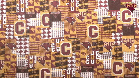 Wbb GIF by CUCougars