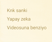 Ai Sahte GIF