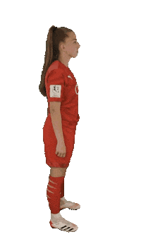 schanzerinnen frauenfussball nichtohnemeinemädels schanzerinnen 2 frauen bundesliga Sticker