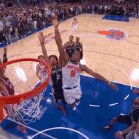 New York Knicks Tip GIF