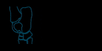 Horse GIF by EQX Centro de Ortopedia Equina