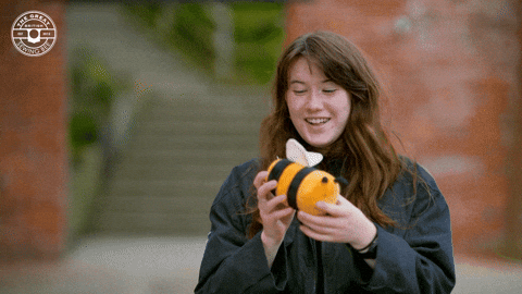 Toy Throw GIF by The Great British Sewing Bee