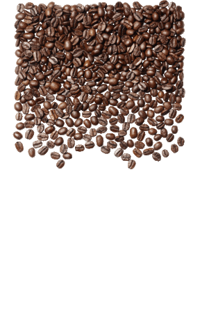 coffee raining Sticker