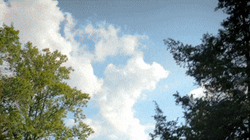 My Girl