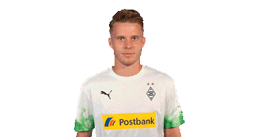 Nico Elvedi Bundesliga Sticker by Borussia Mönchengladbach