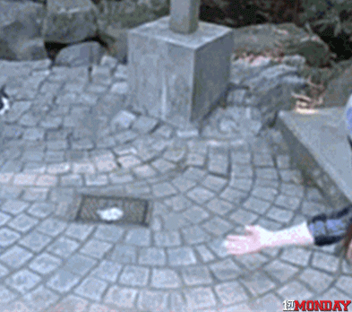 GIF by FirstAndMonday