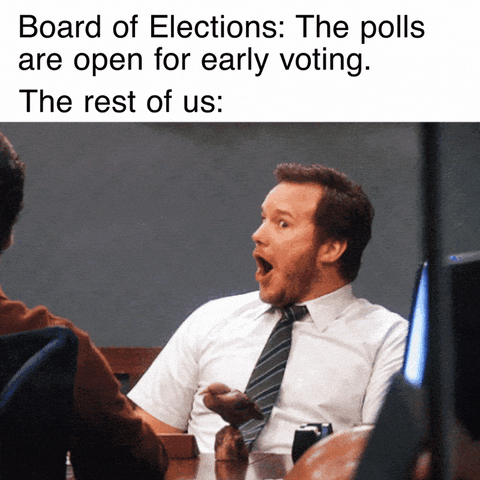 Voting Parks And Rec GIF by INTO ACTION