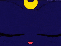 sailor moon GIF