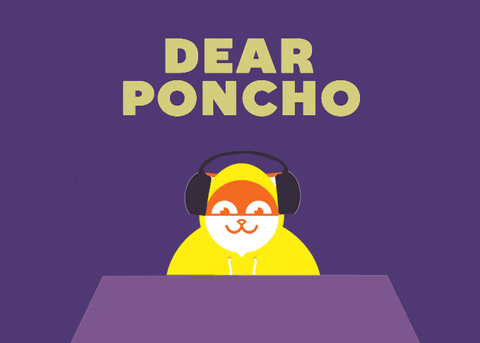 advice dear abby GIF by Poncho the Weather Cat