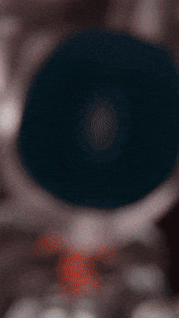 Ultrakill GIF by Youtooz