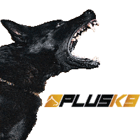 plusk9 dog pets odin beast mode Sticker