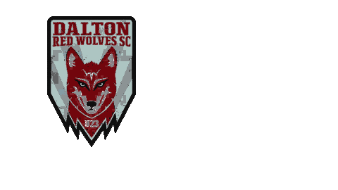 United Soccer League Sticker by USL