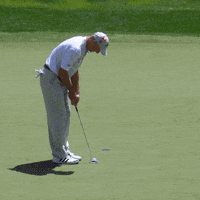 pga tour golf GIF by Travelers Championship