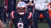 Football Nfl GIF by New England Patriots