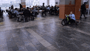 LyonCollege lyon slidingin lyon college lyoncollege GIF