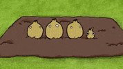 sarahandduck sarah and duck sarahandduck sarahduck sarah duck GIF