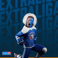 Hockey Hokej GIF by Tipsport extraliga