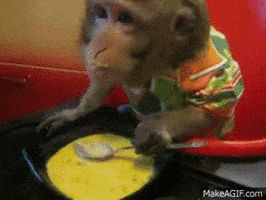 soup GIF