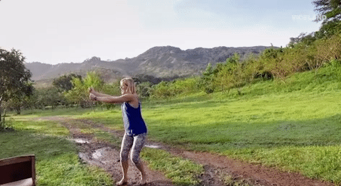 viceland GIF by JUNGLETOWN