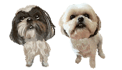 Cute Dog Sticker